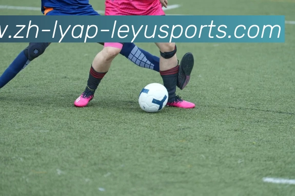 乐鱼体育APP 封面图